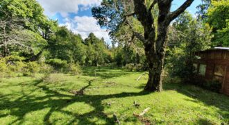 Cunco, Un Paraíso Verde, tu opción de nueva vida